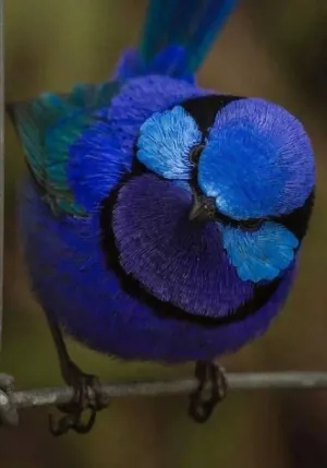 1623094895645.png