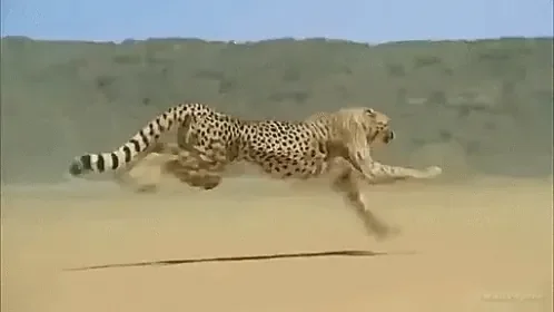 GIFs-20216801234.gif