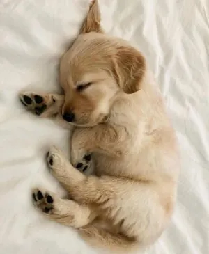 cute-5s8rNH.jpg