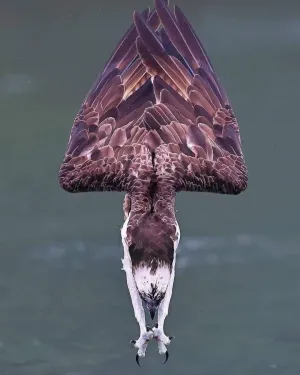 1623523519095.png