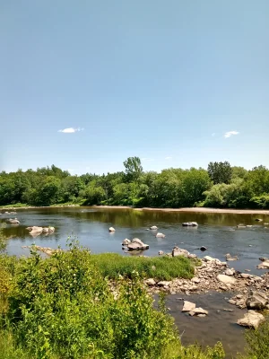 IMG_20210612_132156536_HDR.jpg