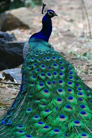 1623620242059.png