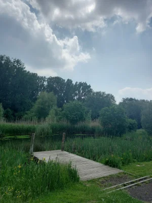 20210608_131833.jpg
