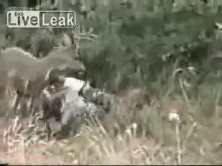 78ny3pDP74gDu.gif
