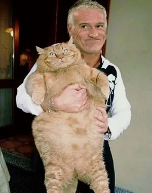 cDidierDeschamps.jpg