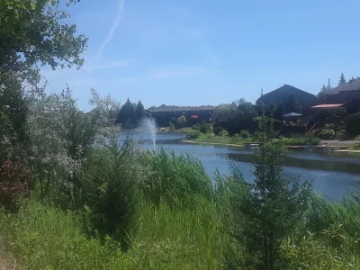 20210624_113002.jpg