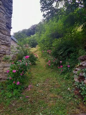 20210626_191448.jpg