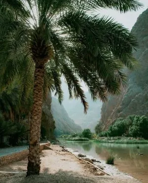 Oman.jpg