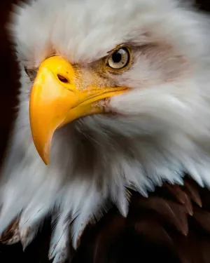 1625162530346.png