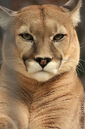 1625339112280.png