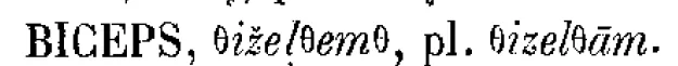 31.png