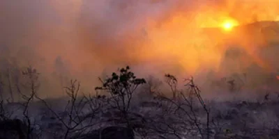 Incendie-Feu-Foret-tanger-(2012-07-17).jpg