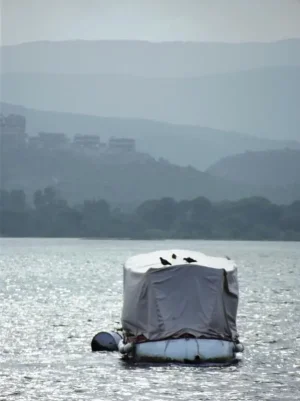 Inde, automne 2011 452.jpg