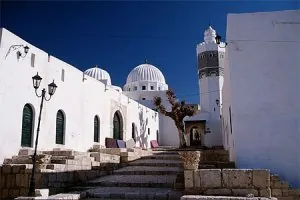 pt61820.jpg