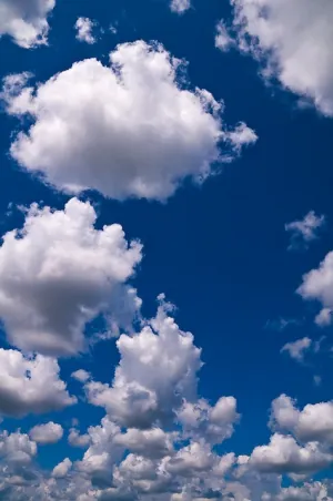 1625861093675.png