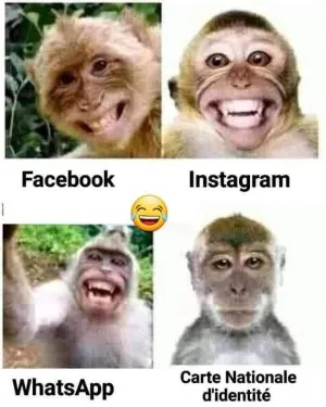 FB_IMG_1626110406293.jpg