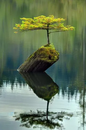 1626731110084.png