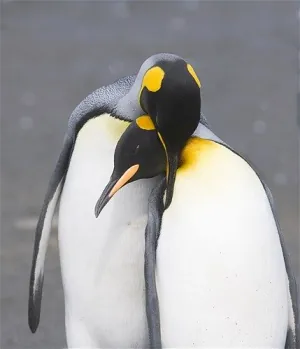 1626986609724.png
