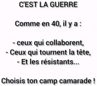 FB_IMG_1627052479372.jpg
