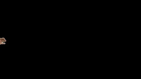 XdE1NOntPxCKgziG0t.gif
