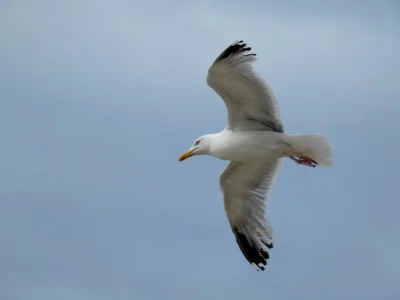 P1090341.jpg