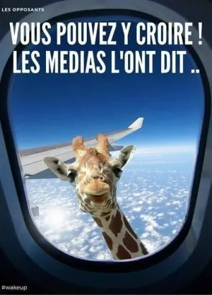 E7436xkX0AELAVl.png