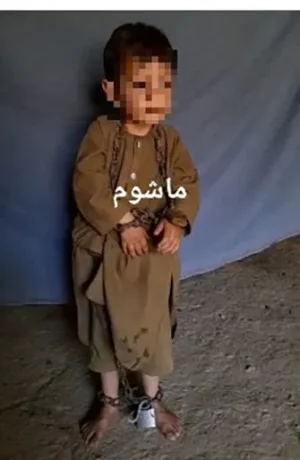 1628407944965.png