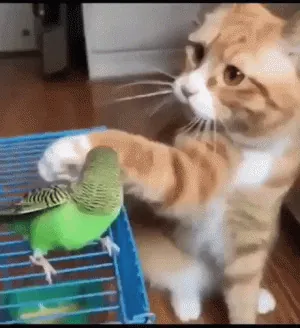 S3nv0DkUTqCWQk1u9P (1).gif
