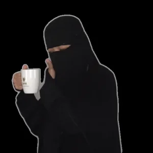 n5DhIhhFsT6FwmEFaj.gif