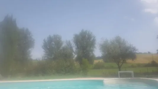 20210812_160956.jpg