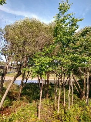 IMG_20210904_155642664_HDR.jpg