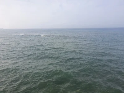 20210913_173536.jpg
