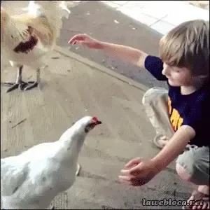 i7a0frOsDmw5a.gif