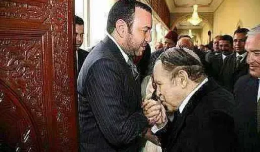marocain_373919845_500132505.jpg