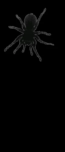 AFDLK5jU756dW.gif