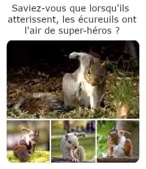 FB_IMG_1633279876256.jpg