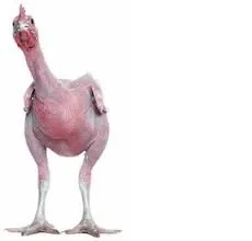 1635670720504.png