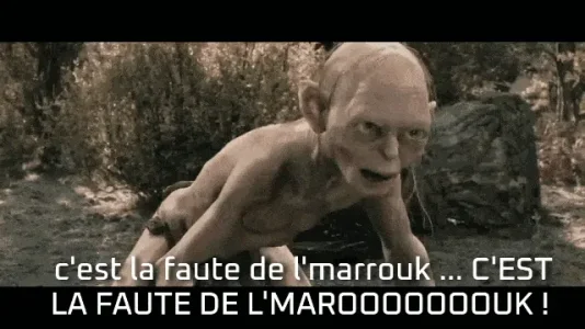 20211105_204021.gif