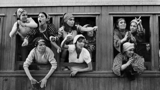 les-femmes-marche-verte-e1541439201858.jpg