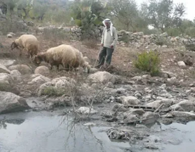 cisjordanie-eaux-polluée-zone-industrielle.jpg cisjordanie-eaux-polluée-zone-industrielle.jpg
