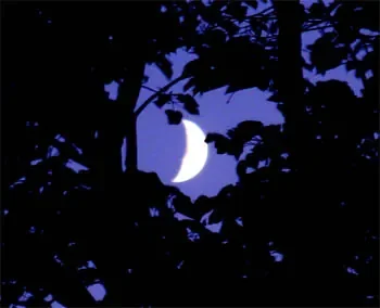 lune nuit promesse.jpg