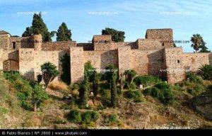 chateau-de-gibralfaro-malaga-andalousie-espagne_3800.jpg
