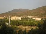 rif3.jpg
