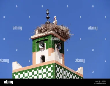 un-nid-de-cigognes-sur-le-minaret-2c0xx8h.jpg