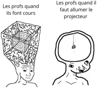 1639578440470.jpeg