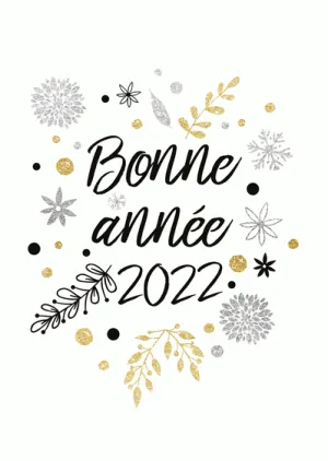 4849-Bonne annn e 2022 sur fond blanc-v_maxi.gif