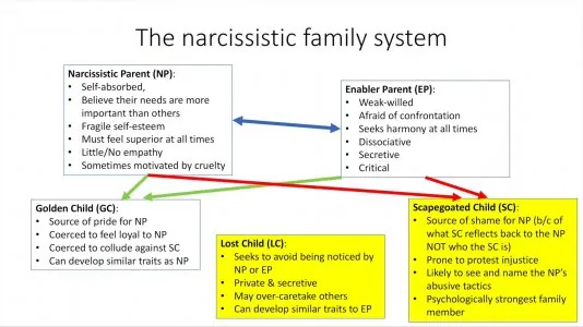 The Narcissistic Family System.jpg