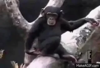 1643038317753.gif