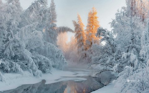 hiver-oimiakon-russie.jpg