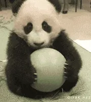 200.gif